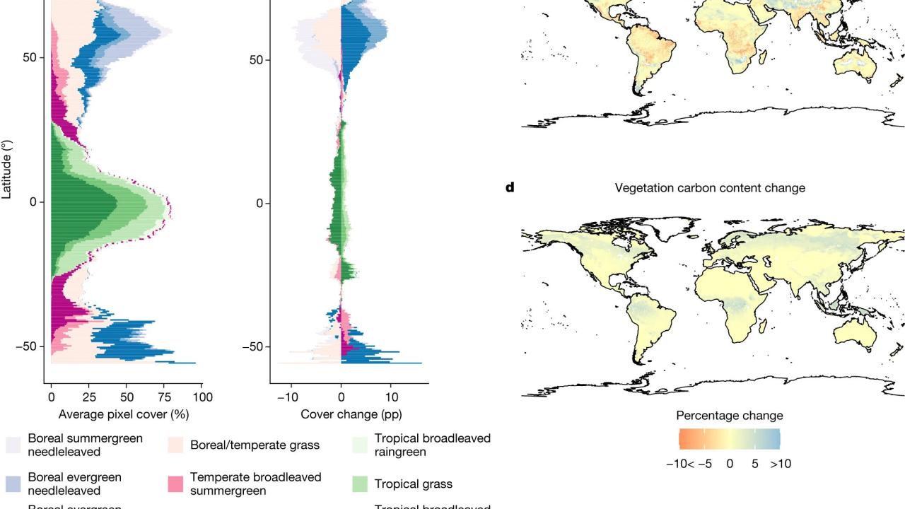 Biome shifts and changes in area cover and vegetation carbon content.