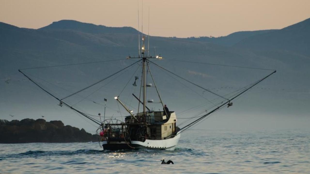 A fishing boat leaves harbor at Morro Bay, California. (Getty)