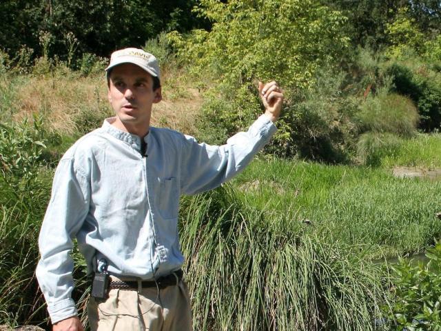 UC Davis researcher pointing to wetlands
