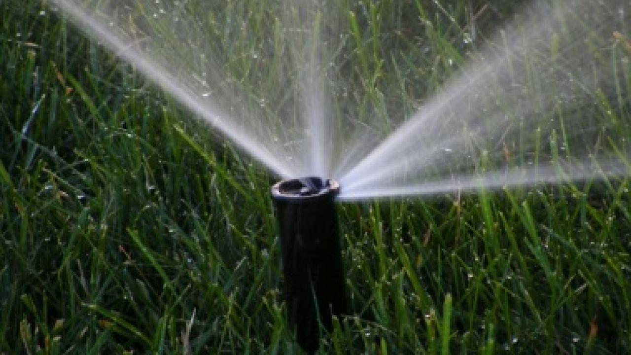 Picture of a sprinkler spraying water onto a field of grass