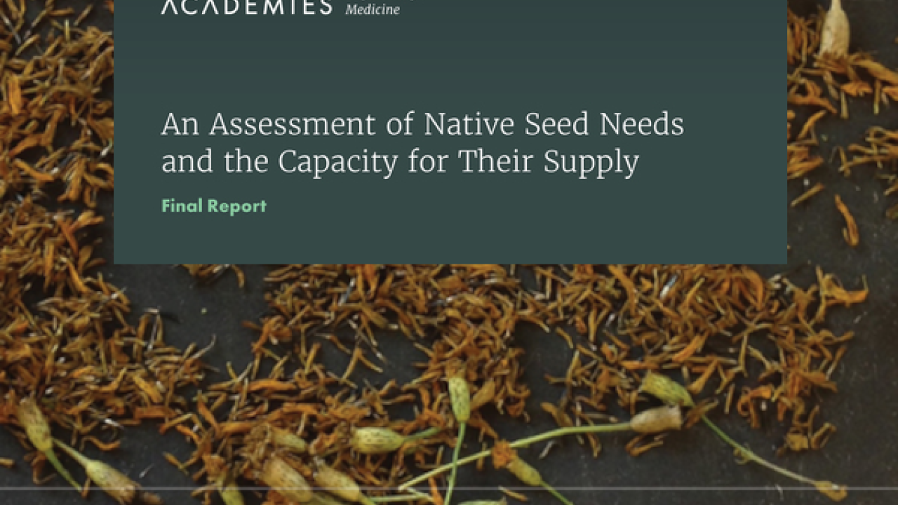 An Assessment of Native Seed Needs and the Capacity for Their Supply Final Report cover photo