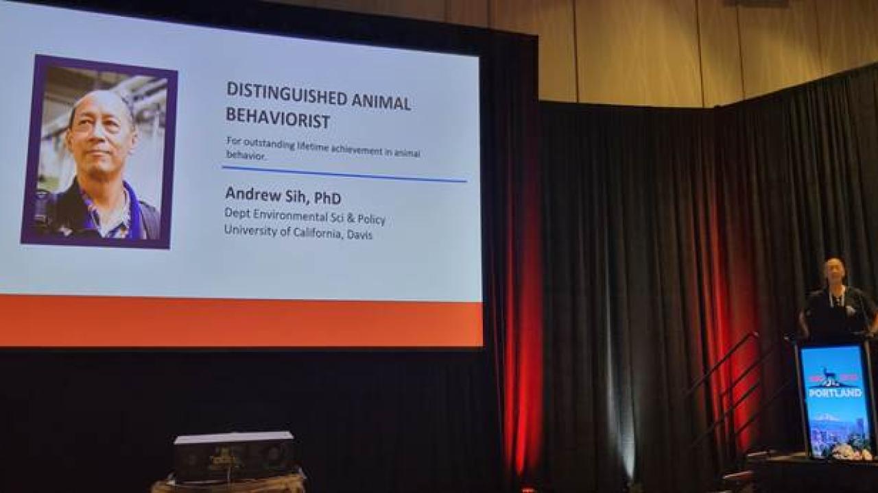 Andy Sih receiving Distinguished Animal Behaviorist award