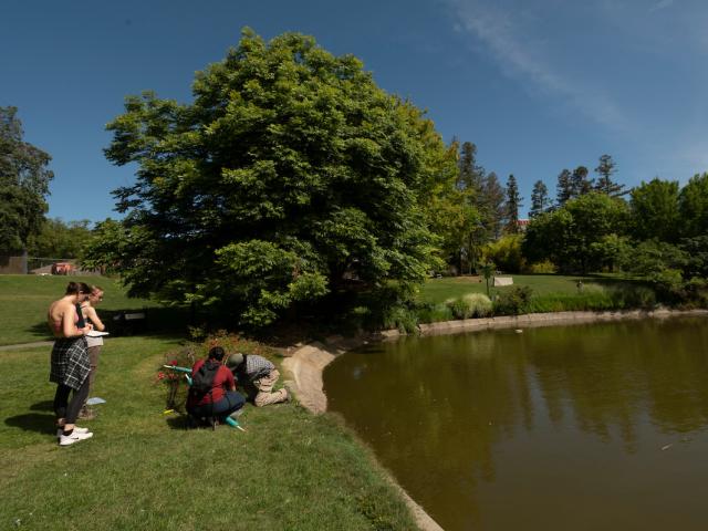 Four graduate students aside the Putah Creek in the UC Davis arboretum