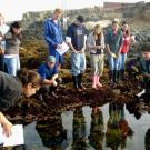 UC Davis Associate Professor Eric Sanford works in the field with students at the Bodega Marine Laboratory. (UC Davis)
